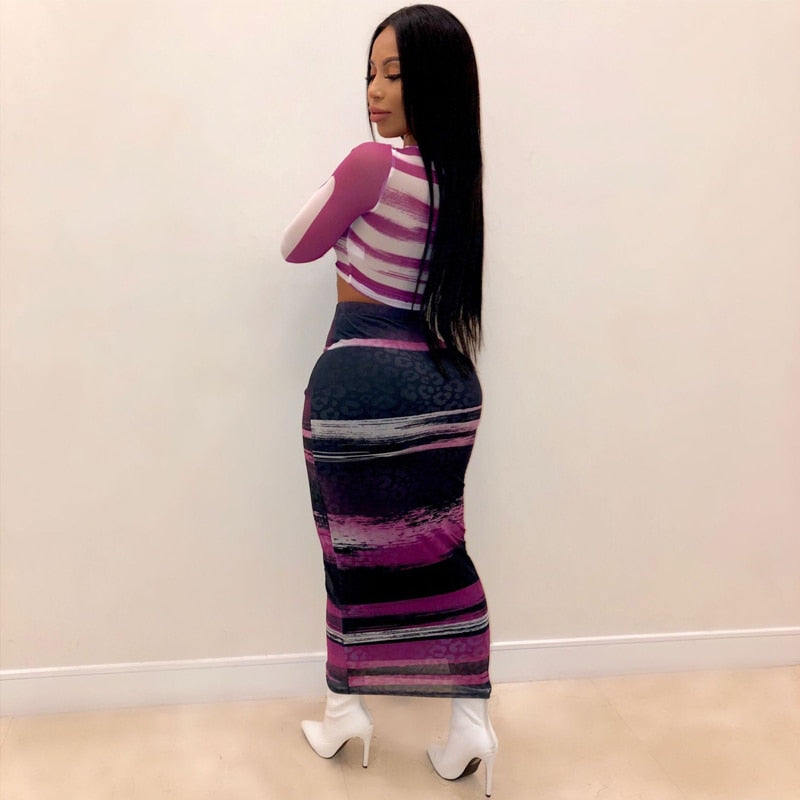 Mesh Bodycon Long Sleeve Crop Top and Long Skirt Set