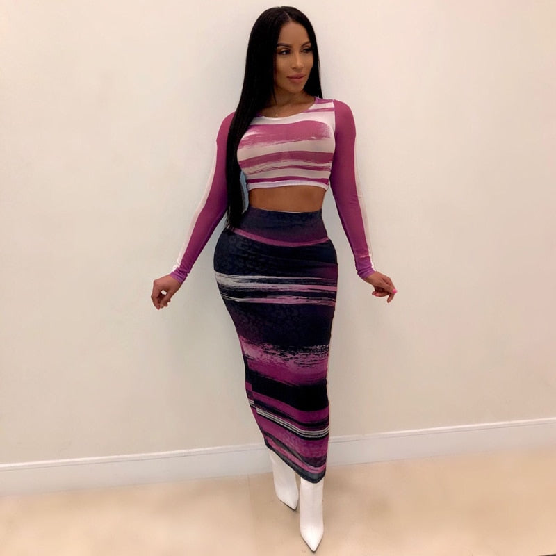 Mesh Bodycon Long Sleeve Crop Top and Long Skirt Set