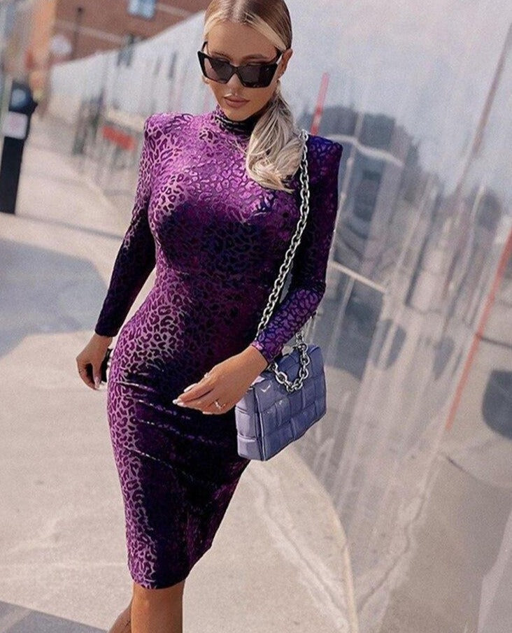 Leopard Print Long Sleeve Turtleneck Maxi Dress