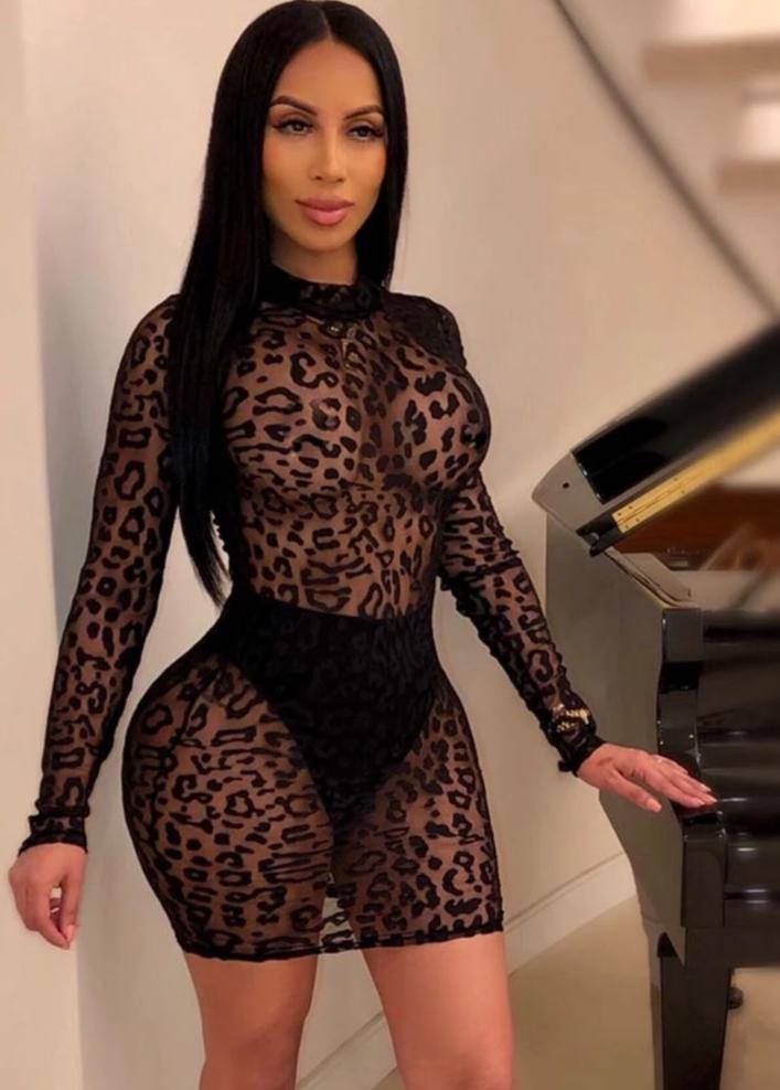 Black Lace Sheer Mesh Long Sleeve Bodycon Mini Dresses