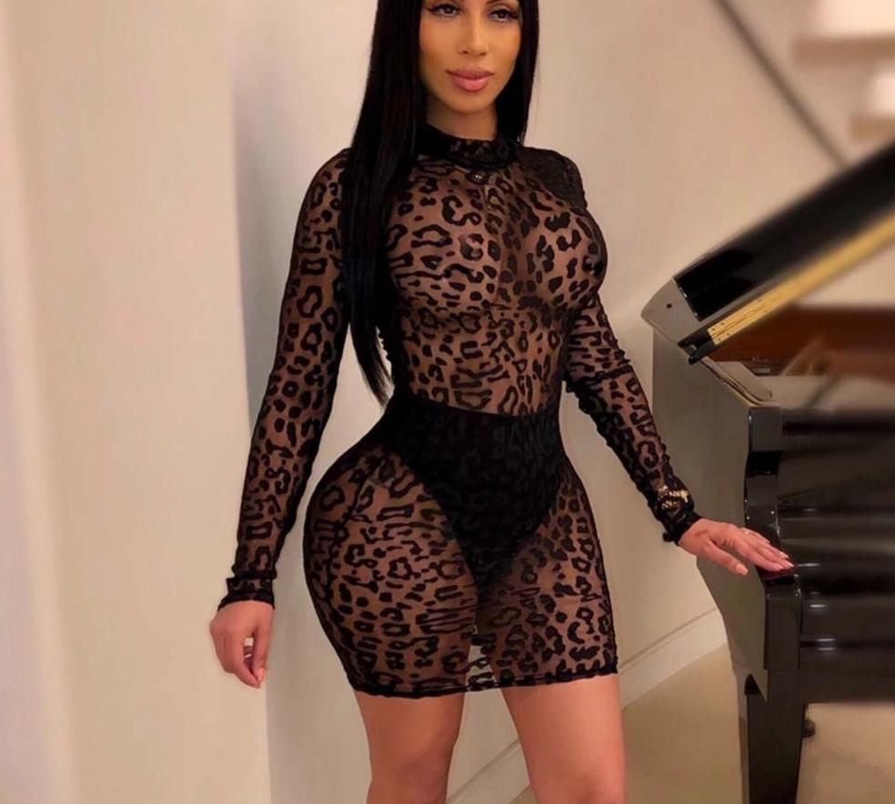 Black Lace Sheer Mesh Long Sleeve Bodycon Mini Dresses