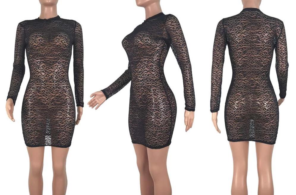 Black Lace Sheer Mesh Long Sleeve Bodycon Mini Dresses