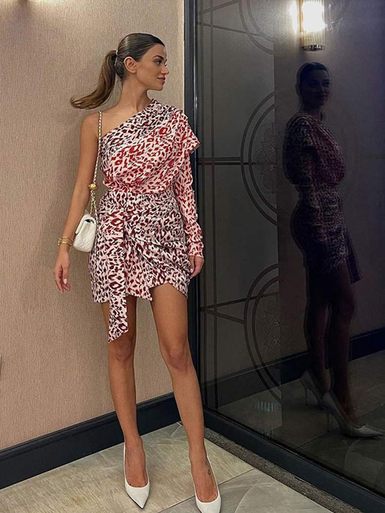 Leopard Print One Shoulder Sleeve Mini Dress