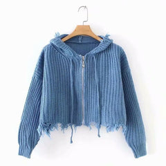 Frayed Knit Hoddie