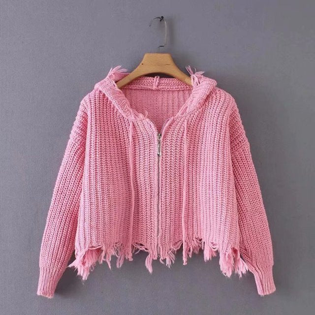 Frayed Knit Hoddie