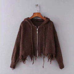 Frayed Knit Hoddie