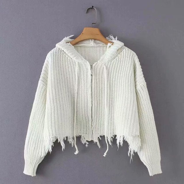 Frayed Knit Hoddie