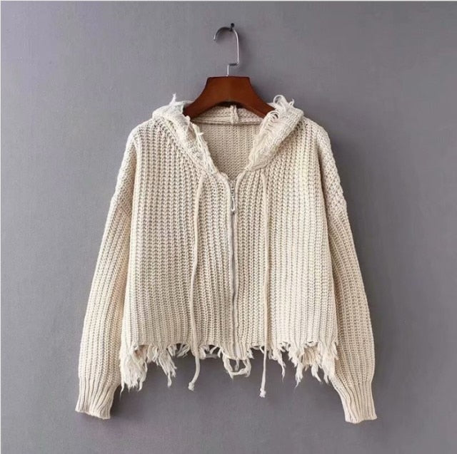 Frayed Knit Hoddie